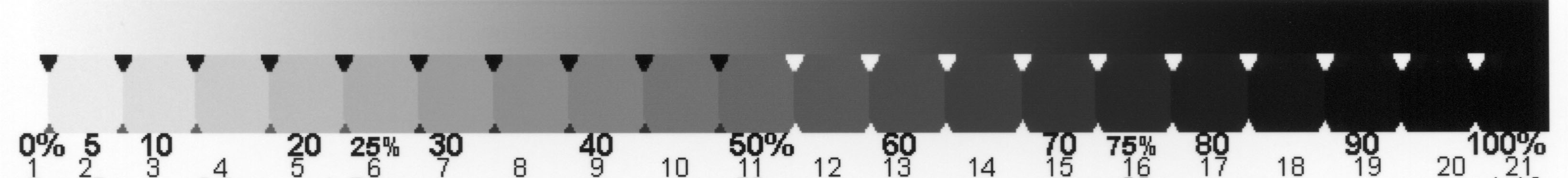 Eboni-4 Plus” B&W Inkset for the Epson 1400